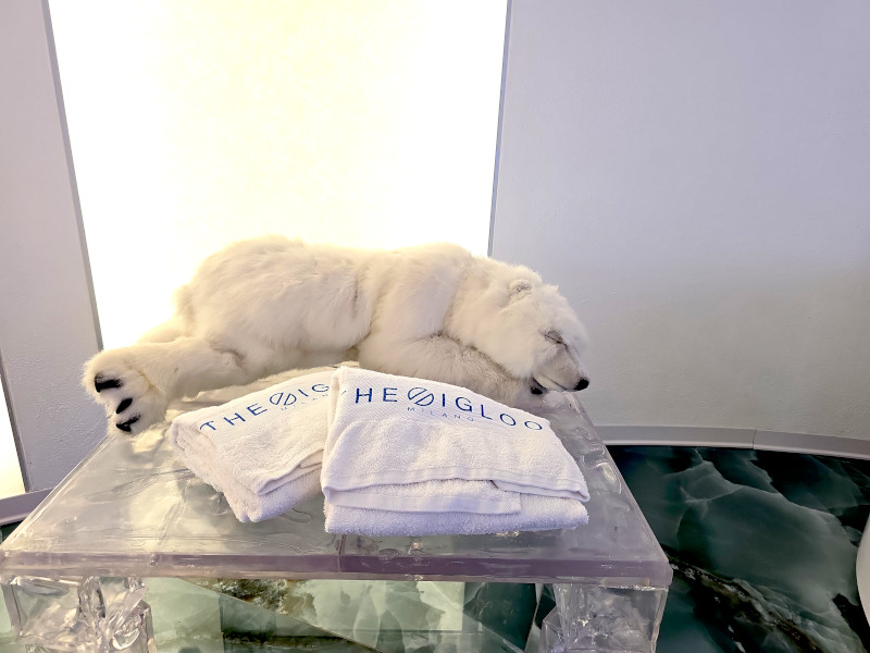 1037milanoflats_-_igloo_-_asciugamani