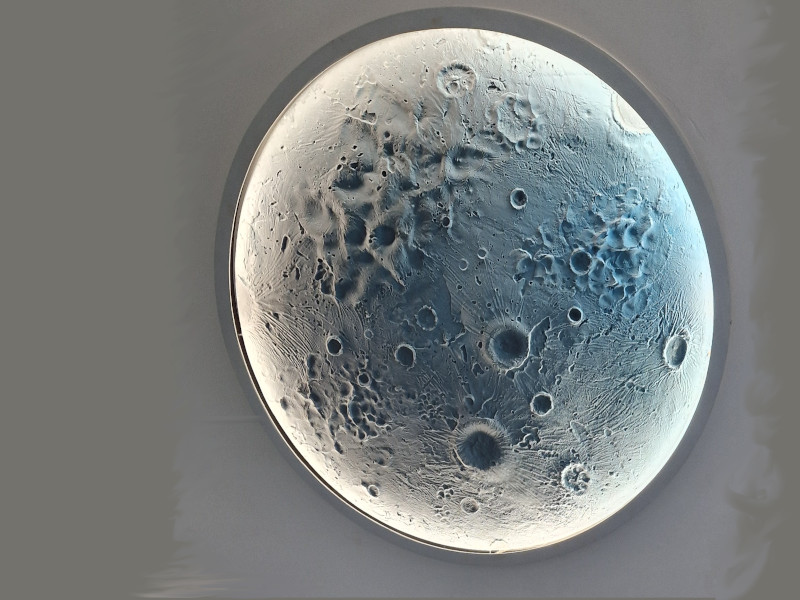 1496milanoflats_-_igloo_-_luna